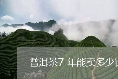 普洱茶7年能卖多少钱/2023092682737