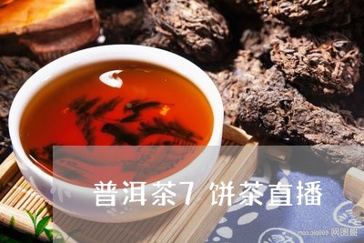 普洱茶7饼茶直播/2023101657379