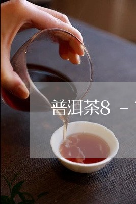 普洱茶8-10克包装/2023101714148