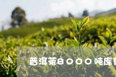 普洱茶8000吨库存/2023081636148