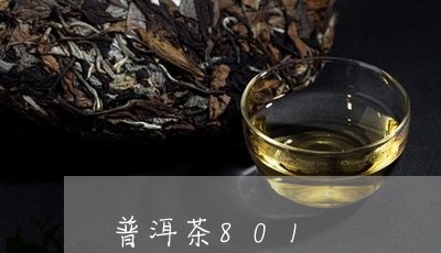 普洱茶801/2023042913461