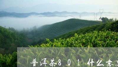 普洱茶801什么意思/2023080283928