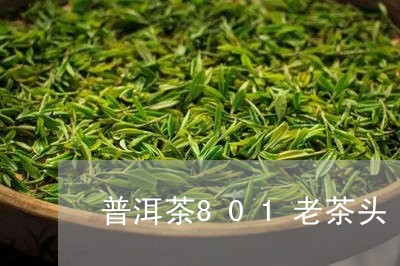 普洱茶801老茶头/2023091404815