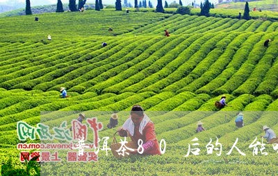 普洱茶80后的人能喝吗/2023102420372