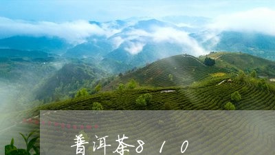 普洱茶810/2023042826313