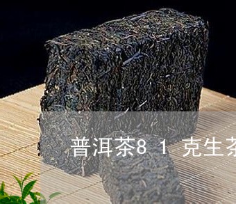 普洱茶81克生茶/2023120437380