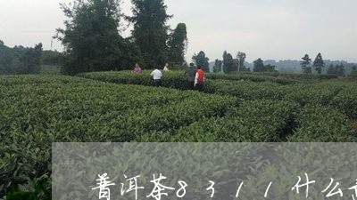 普洱茶8311什么意思/2023112828179