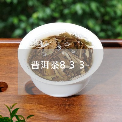 普洱茶833/2023112644828