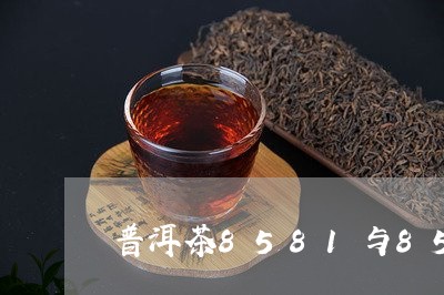 普洱茶8581与8582的/2023121630471