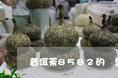 普洱茶8582的餅型/2023080160494