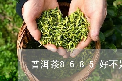 普洱茶8685好不好/2023080161804