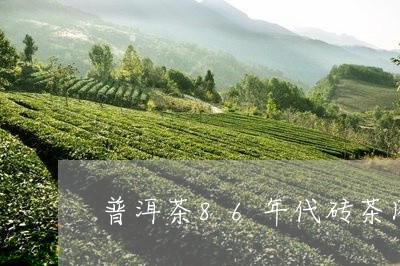 普洱茶86年代砖茶图片/2023102452582