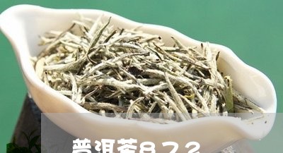 普洱茶872/2023042831955