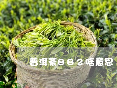 普洱茶882啥意思/2023120516354