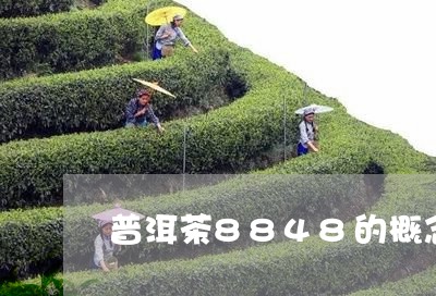 普洱茶8848的概念/2023062843626