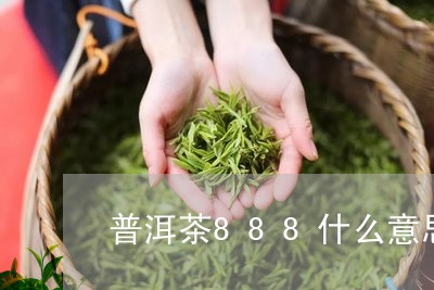 普洱茶888什么意思/2023062737259