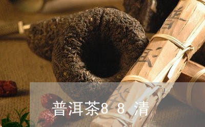 普洱茶88清/2023091355270