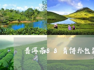 普洱茶88青饼外包装/2023062078482