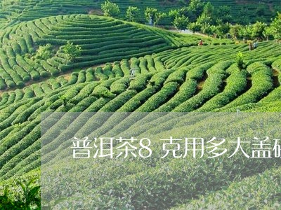 普洱茶8克用多大盖碗/2023092794959