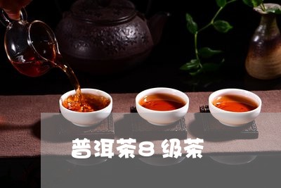 普洱茶8级茶/2023042801457