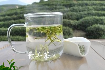 普洱茶9/2023110823946