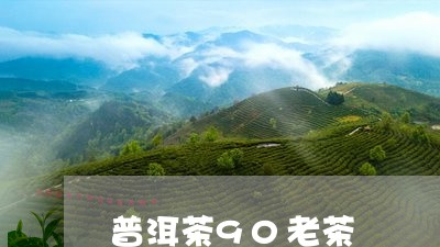 普洱茶90老茶/2023081563941