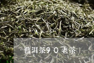 普洱茶90老茶/2023101646274