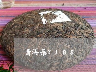 普洱茶9188/2023110640591