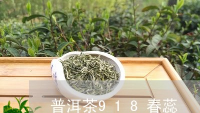 普洱茶918春蕊/2023120423705