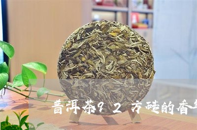 普洱茶92方砖的香气/2023101757159