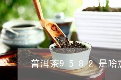 普洱茶9582是啥意思/2023102477258