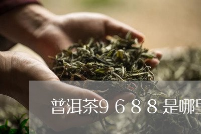 普洱茶9688是哪里/2023062828481