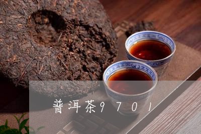 普洱茶9701/2023112617172