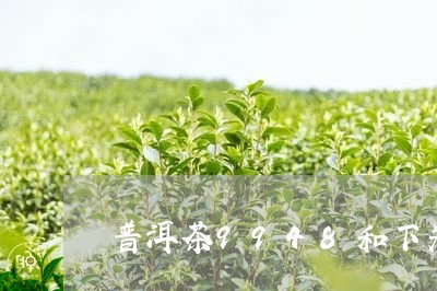 普洱茶9948和下关/2023062849271