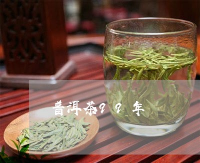 普洱茶99年/2023042764828