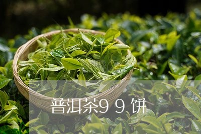 普洱茶99饼/2023102515846