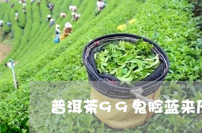 普洱茶99鬼脸蓝来历/2023080380682