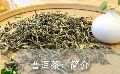 普洱茶:简介/2023042848128