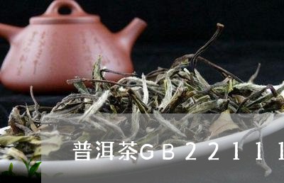 普洱茶GB22111保质期/2023052785159