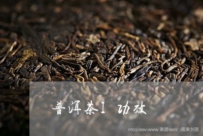 普洱茶I功效/2023042887817