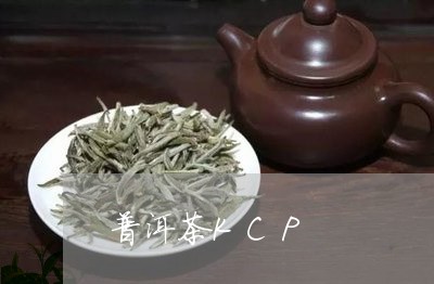 普洱茶KCP/2023042880593