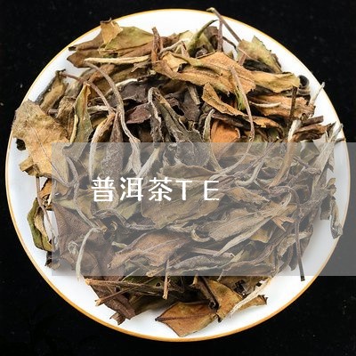 普洱茶TE/2023090599405