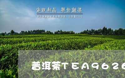 普洱茶TEA9626/2023062814830