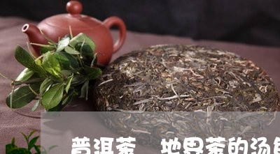 普洱茶_地界茶的汤色/2023080377462