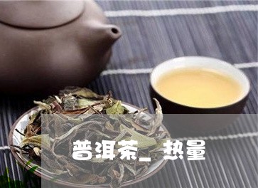 普洱茶_热量/2023042824807