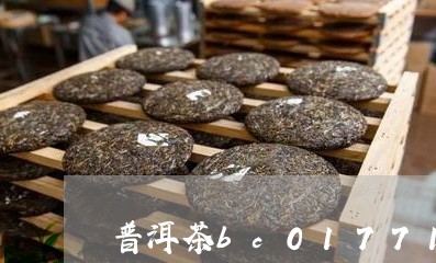 普洱茶bc01771/2023062761627