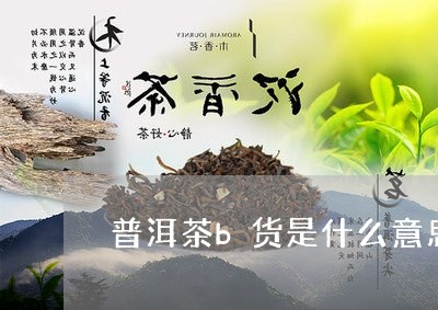 普洱茶b货是什么意思/2023092892267