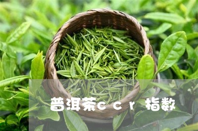 普洱茶ccr指数/2023062875058