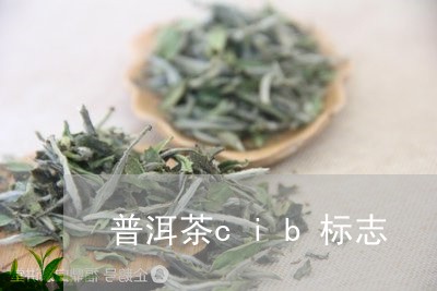 普洱茶cib标志/2023120377480