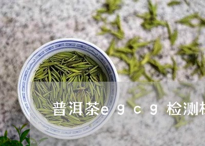 普洱茶egcg检测标准/2023120794138